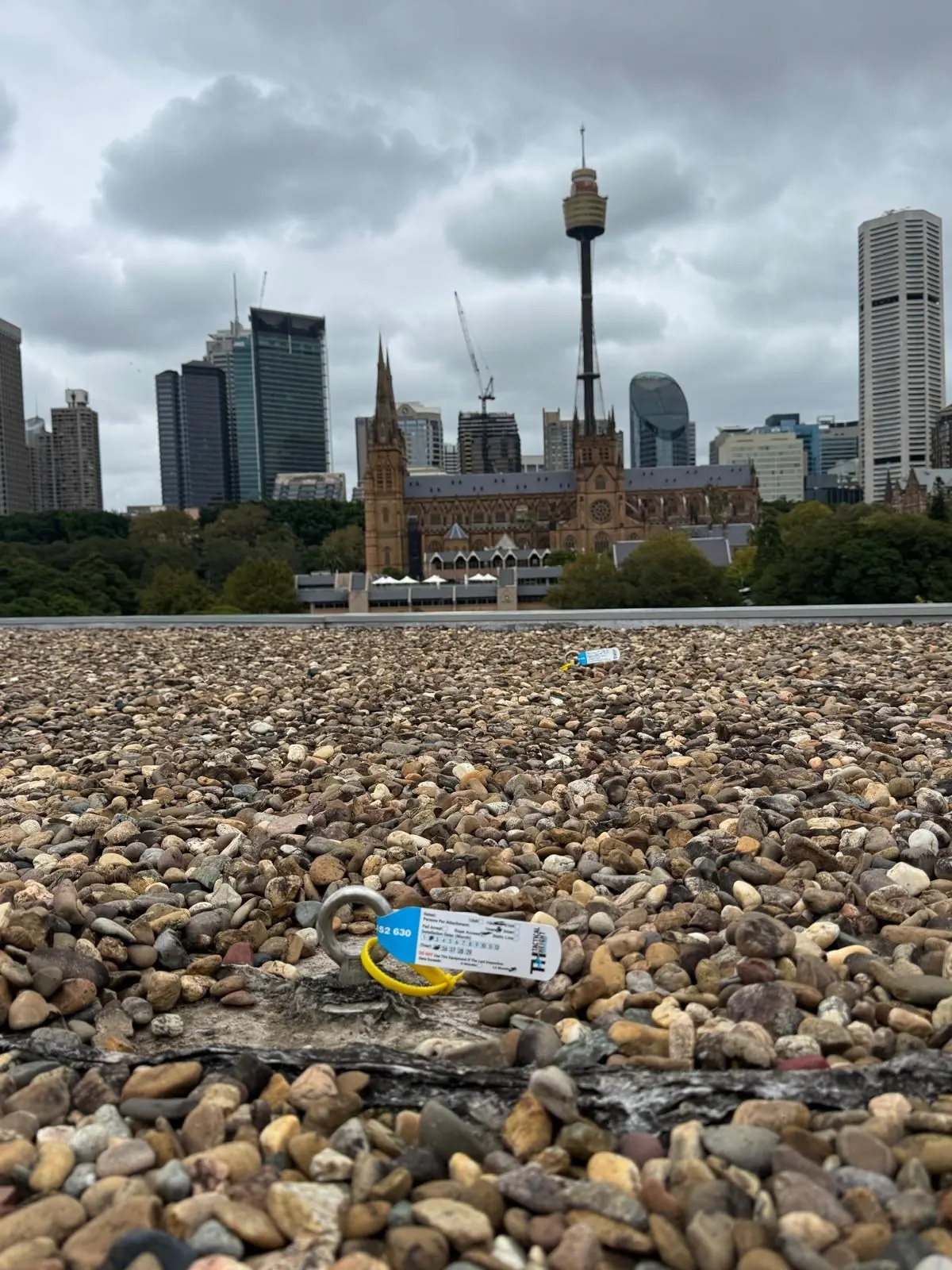 Tagged roof anchor on a gravel roof with the Sydney CBD behind
