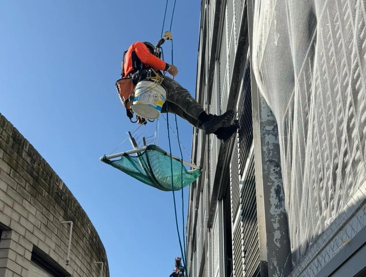 Technician on rope installing bird spikes, with a catch net rigged below the work