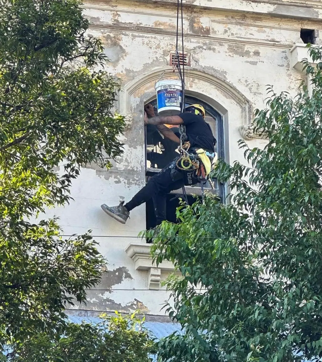 Painter on rope at an arched window of a Redfern heritage terrace with flaking paint before preparation
