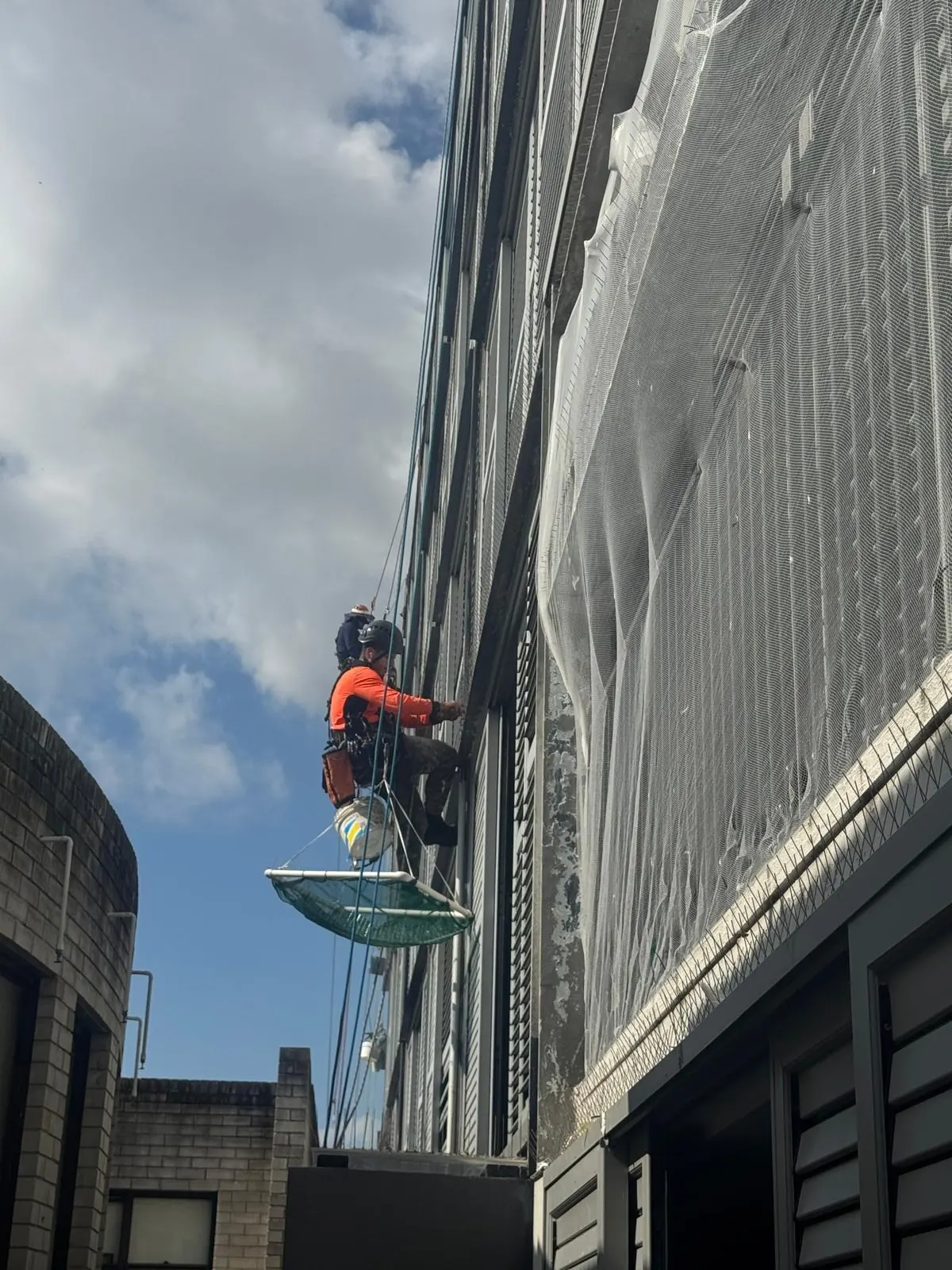 Technician on rope with a catch net on a screened façade during bird proofing